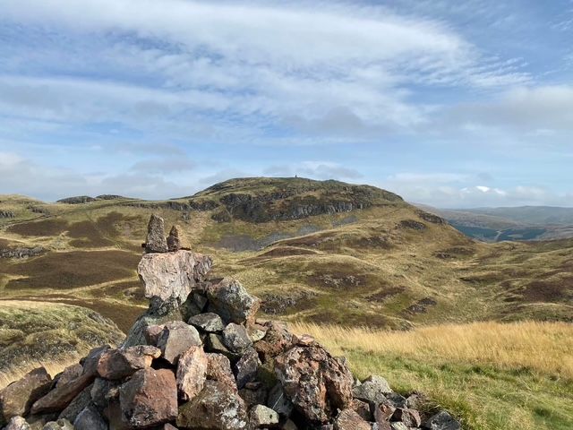 Castle Law